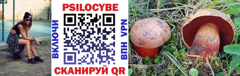 Псилоцибиновые грибы мицелий  даркнет сайт  Нерюнгри 